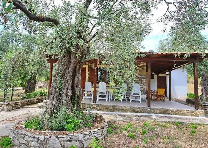 Panos Κοίνυρα